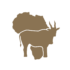 S.H. Safaris Swaershoek